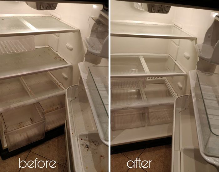 Fridge Before and After Cleaning